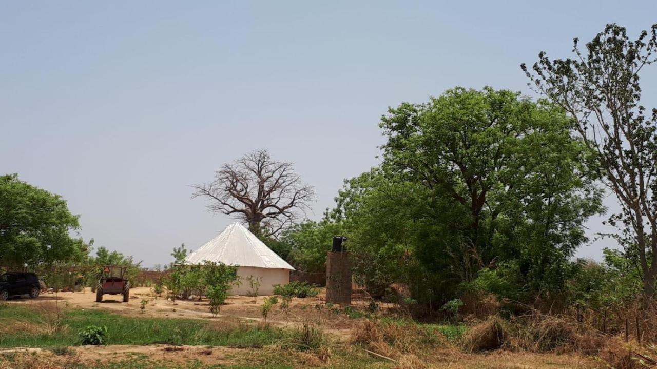 Camping Sitaba Lodge Georgetown Экстерьер фото